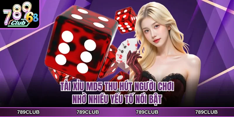 Tài xỉu MD5 thu hút người chơi nhờ nhiều yếu tố nổi bật